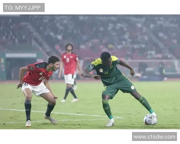 埃及与塞内加尔争夺非洲杯荣耀决赛精彩回顾与精彩瞬间分析